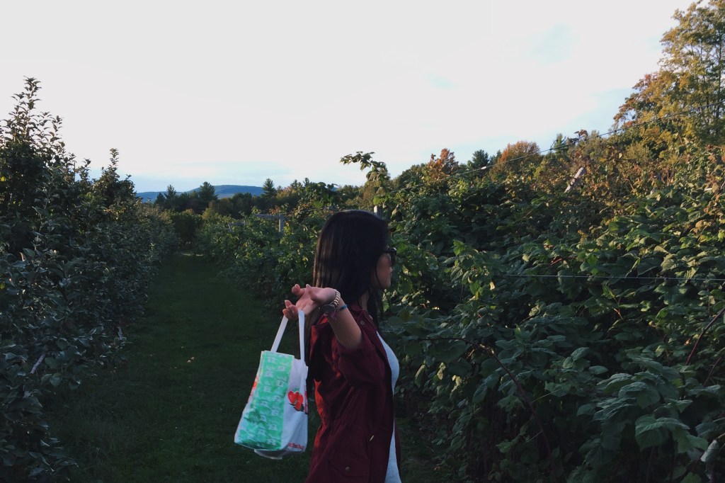 The Month of&nbsp;October