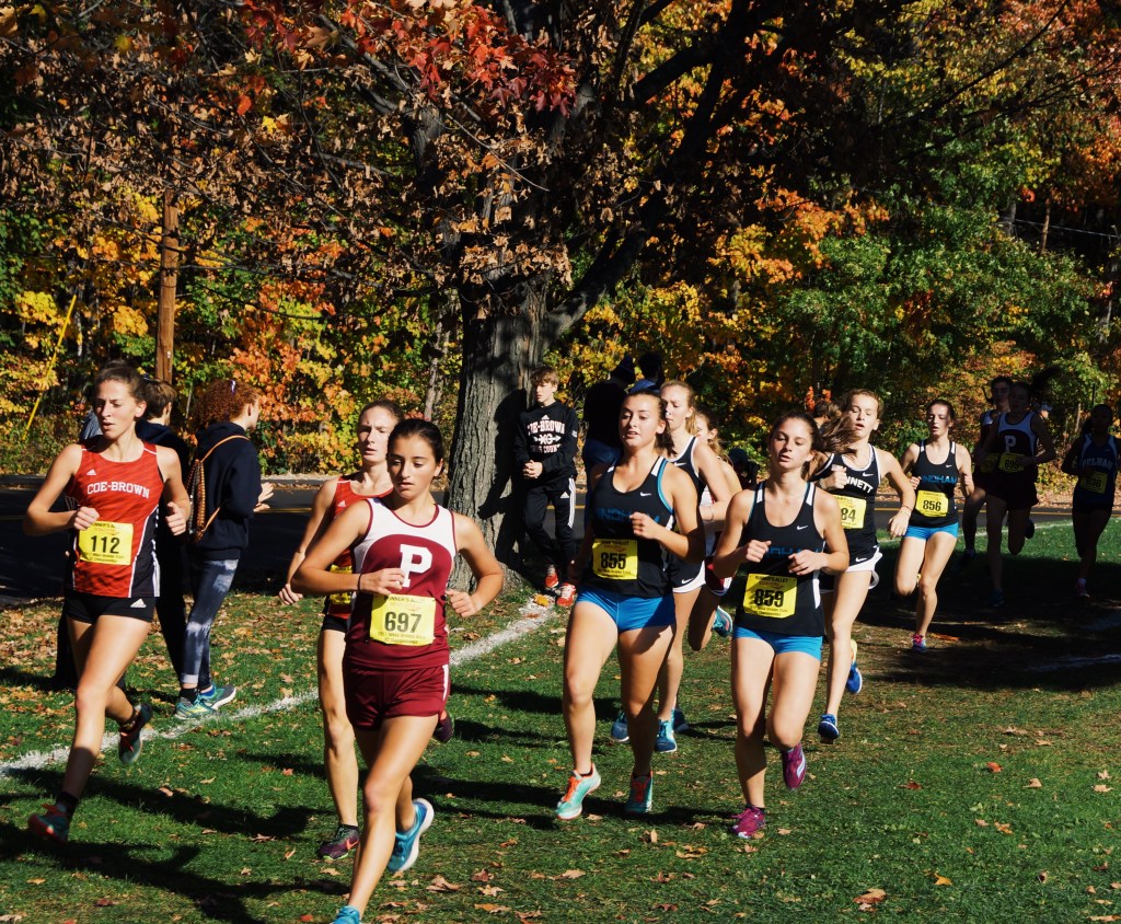 ORXC at DII&nbsp;States