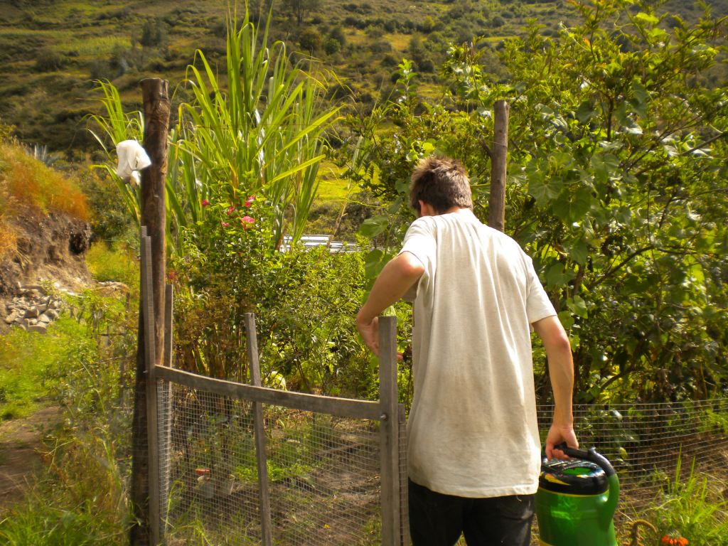 WWOOF: World Wide Opportunities on Organic&nbsp;Farms