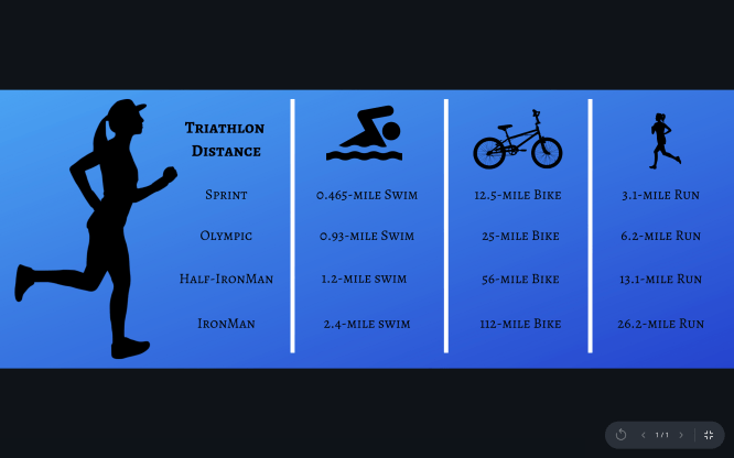 Screen Shot 2018-12-06 at 8.44.15 PM (1)