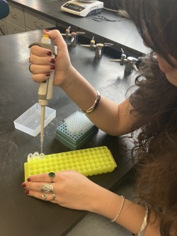 Building a Better&nbsp;World