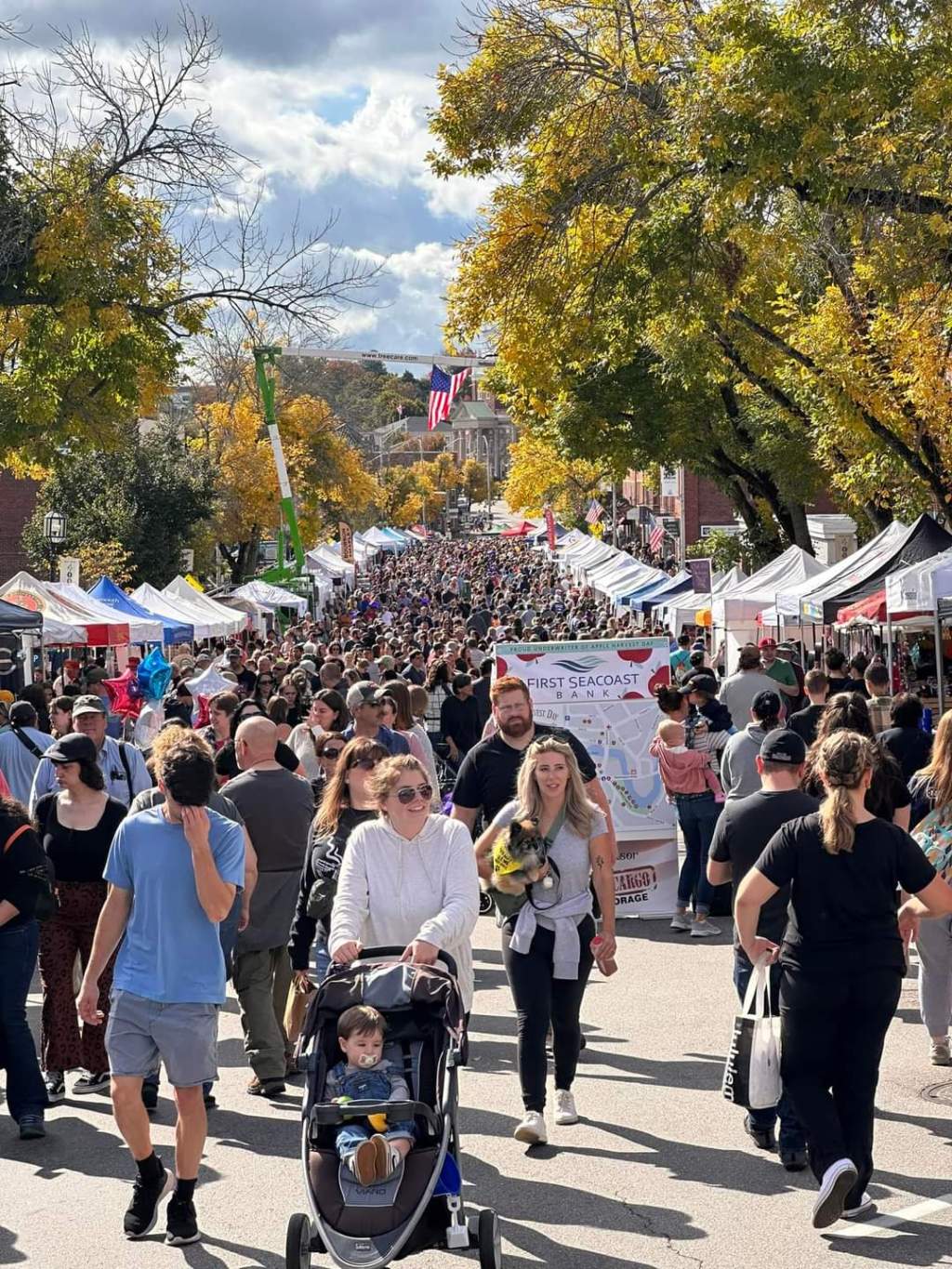 Apple Harvest Day: Ushering in New England’s Fall Season